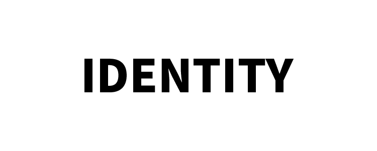 BRAND IDENTITY PROFESSIONAL